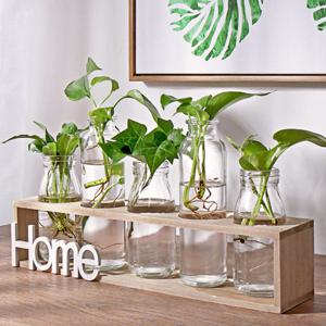 우드받침대 수경재배식물 수생식물 5구꽃병 유리화병