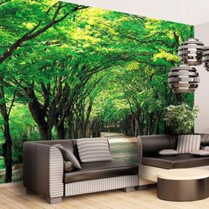 [크레용벽지]  푸르른 가로수길 포인트 뮤럴벽지