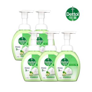 데톨 애플 포밍 핸드워시 250g x5개 손세정제 핸드솝 거품비누