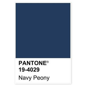 PANTONE-147 팬톤 파스텔 인테리어 액자 30호(91x65cm)