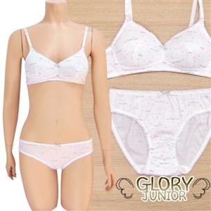 [고아라]75AA~85AA/주니어2단계 깜찍면브라팬티2종(GLB1329)