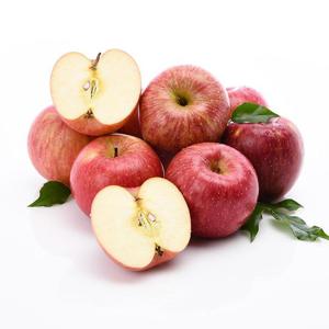 [자연맛남] 아삭아삭 사과 9kg (가정용/41과내)