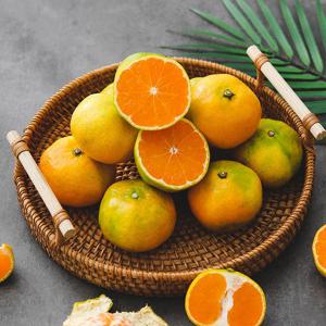 선별배송 제주 노지 감귤 9kg 소과 (2S)