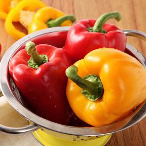 싱싱한 가정용 파프리카 5kg