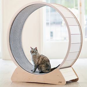 뽀떼_캣휠SET [본품+휠스텐드+휠카패트]SET