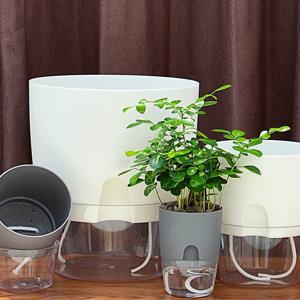 모던플라워 자동 급수 플라스틱 화분 미니