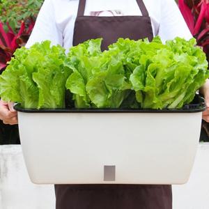 비기스트 저면관수 플라스틱 자동화분 중형