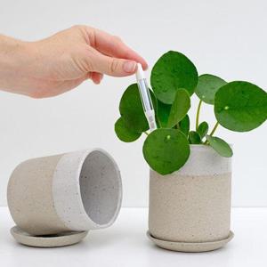 마이플랜트 SESTEE 서스티 L 물주기 알리미 토양 수분측정기