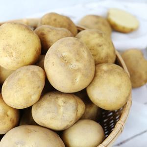 사시사철 맛좋은 우리땅 햇 감자(대) 5kg