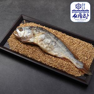 [씨토랑]법성포 해풍건조 부세보리굴비 대 10미/27~29cm