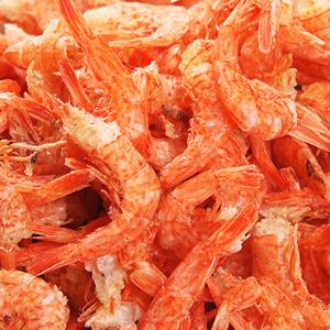 완도명가 두절새우 400g