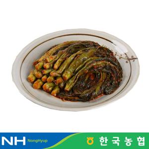 한국농협 마이산김치 국내산 갓김치 1kg