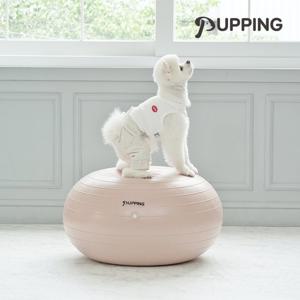 [퍼핑] 강아지짐볼 슬개골탈구예방 운동기구