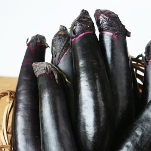 [팔도농장] 국내산 보랏빛 가지 2kg