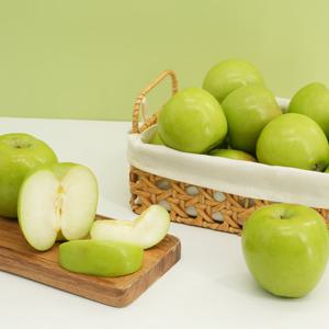 가정용 아오리사과 5kg 중대과