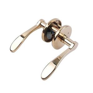 레바 BL0101 PVD 벨라 골드 방문손잡이 문손잡이