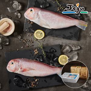 제주 옥돔 프리미엄 선물 세트1kg(특대 3마리)+고급선물가방