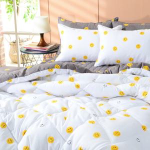 이솔홈 스마일 세미마이크로 차렵이불 SS