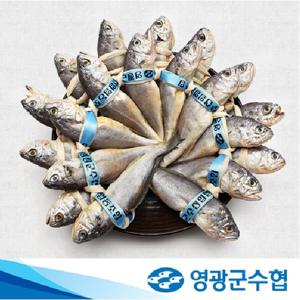 [몸애좋은굴비]영광군수협 엮걸이 참굴비 40미 2.4kg (미당 60g)
