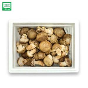 젊은농부 무농약 송화버섯 1kg 일반형