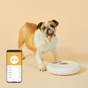 페페 펫 스마트 자동간식기 자동급식기 SF-300 강아지 고양이