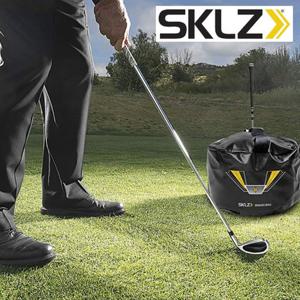 스킬즈 스매쉬백 비거리향상 골프연습 자세교정 도구