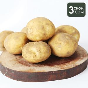 포근포근 분나는 국내산 햇 고향감자(왕특) 5kg