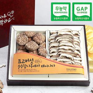 [웰굿]무농약GAP인증 표고버섯 흑화고 2종세트(흑화고,슬라이스)