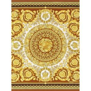 25 FW 베르사체 바로코 프린트 실크 스카프 10016011A15546 TP438304290