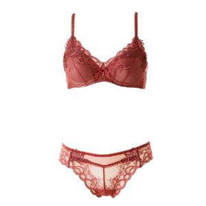 [비너스] 오르화 러스트 데이지 레이스 브라CD컵+티팬티 세트 [OBR5941C_D OPT5941T]