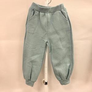 리틀밥독 HC12 보드베어P/T B234MWP08