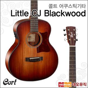 콜트 Little CJ Blackwood/OPLB 어쿠스틱기타 /픽업