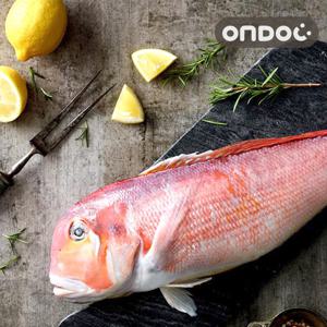 [온도씨]제주 손질 옥돔 2kg (특대/7마리/마리당290g내외)