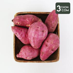 [삼촌밥먹자] 세척 꿀 밤고구마 (왕특)5kg