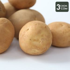 [삼촌밥먹자] 햇 개진감자(특) 5kg