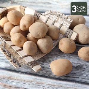 [삼촌밥먹자] 햇 개진감자(대) 3kg