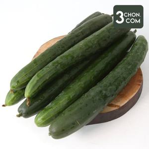 [삼촌밥먹자] 수분의 여왕 청 오이(특) 3kg