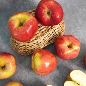 [미식한가] 아리수 사과 가정용 2kg 10-13과