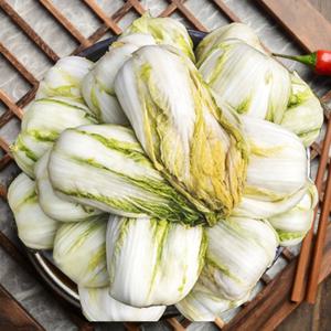 에스비딤채 건강담은 절임배추 10kg