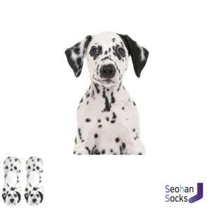 달마시안이 프린트된 특이한 양말