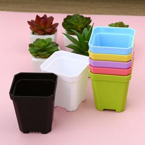 파스텔 미니 플라스틱 화분 7X8cm 화분 미니화분 식목일 모종심기 다육이 다육이심기 꽃심기 원예화분 식물심기 식물화분 식물원화분 슬릿화분