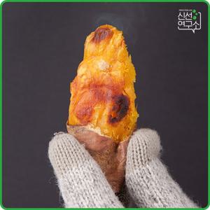 [신선연구소] 해남 꿀밤고구마 10kg 특상급 (100g~300g)