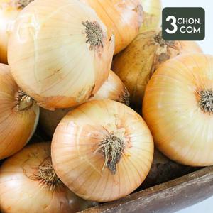 [삼촌밥먹자] 달큰한 무안 햇 양파(특) 10kg