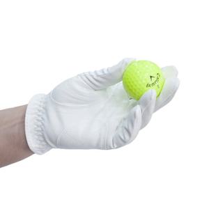 데니스골프 여성용 양손 극세사 골프장갑