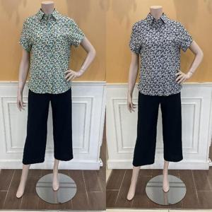 BCBG M백화점 모네 블라우스 B5B5B446