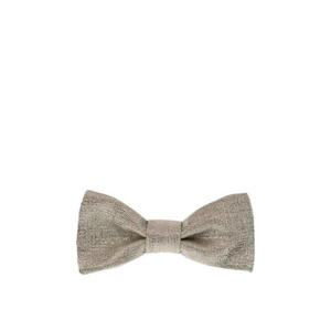 25 FW 베르사체 메탈릭 이펙트 보타이 10179921A16707 TP445590733