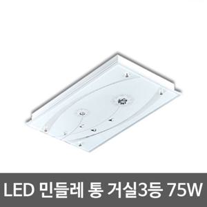 LED거실등 민들레 통 75W (55x3대체)