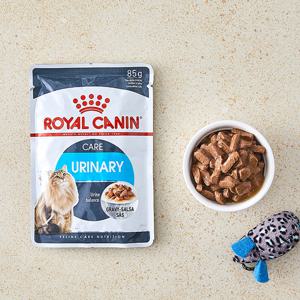 로얄캐닌 유리너리 케어 그레이비 파우치 85g 고양이 사료