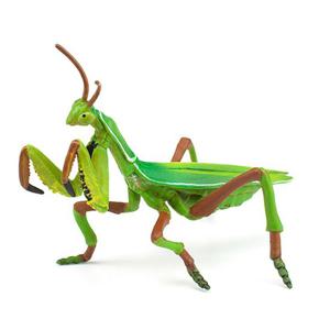 파포 곤충모형완구 사마귀 50244