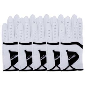 [트리노바]트리노바 방수양피 골프장갑 남성용(한손)_T2322 5장